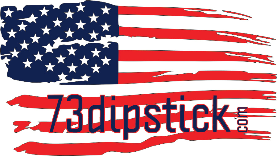 73 Dipstick logo