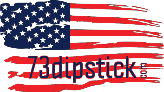 73 Dipstick logo