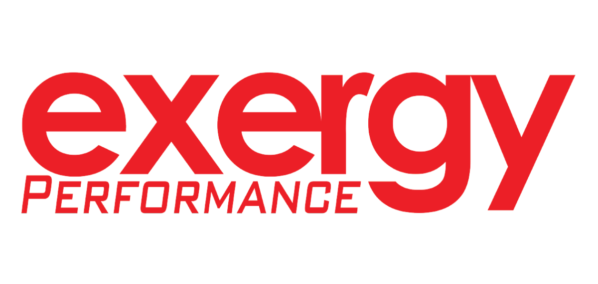 Exergy logo