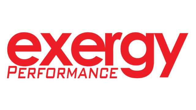Exergy logo